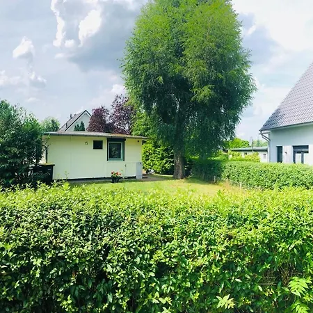 Guilietta Goehren-Lebbin